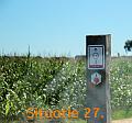 Puur Hageland (219)